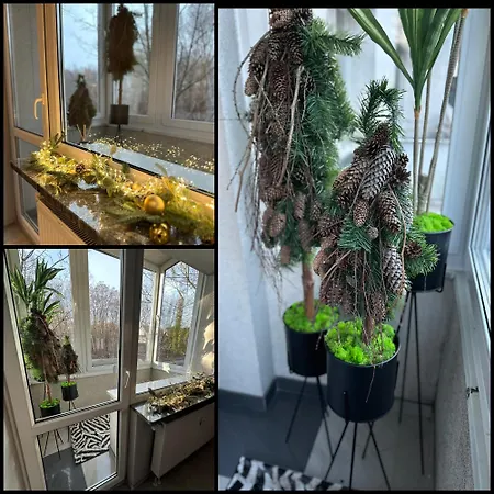The Mirrors