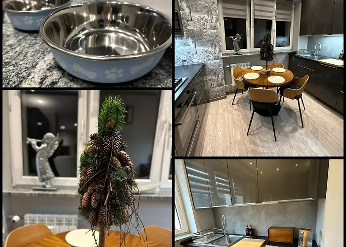 The Mirrors * Сопот